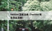 twitter怎能注册（twitter现在怎么注册）
