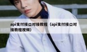 api支付接口对接教程（api支付接口对接教程视频）