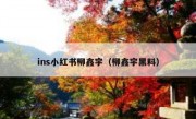 ins小红书柳鑫宇（柳鑫宇黑料）