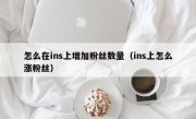 怎么在ins上增加粉丝数量（ins上怎么涨粉丝）