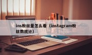 ins粉丝量怎么看（instagram粉丝数统计）
