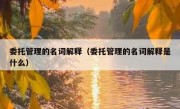 委托管理的名词解释（委托管理的名词解释是什么）