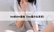 ins的dm是啥（ins是什么东东）