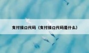 支付接口代码（支付接口代码是什么）