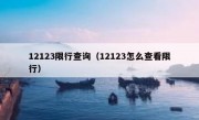 12123限行查询（12123怎么查看限行）