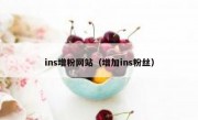 ins增粉网站（增加ins粉丝）