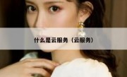 什么是云服务（云服务）