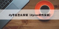 dy平台怎么安装（dycoo软件安装）