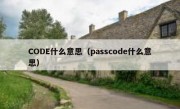 CODE什么意思（passcode什么意思）