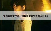 推特看推文空白（推特看推文空白怎么回事）