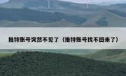 推特账号突然不见了（推特账号找不回来了）