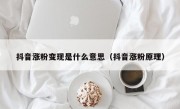 抖音涨粉变现是什么意思（抖音涨粉原理）