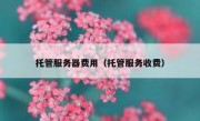 托管服务器费用（托管服务收费）