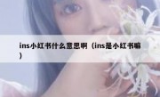 ins小红书什么意思啊（ins是小红书嘛）