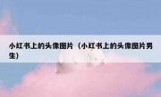 小红书上的头像图片（小红书上的头像图片男生）