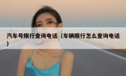 汽车号限行查询电话（车辆限行怎么查询电话）