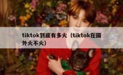 tiktok到底有多火（tiktok在国外火不火）