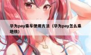 华为pay乘车使用方法（华为pay怎么乘地铁）