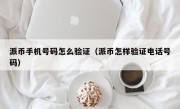 派币手机号码怎么验证（派币怎样验证电话号码）