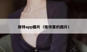 推特app图片（推特里的图片）