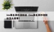 ins莫名其妙涨粉丝（ins莫名其妙涨粉丝怎么回事）