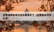 点赞加赞加关注怎么取消不了（点赞加关注怎么说）