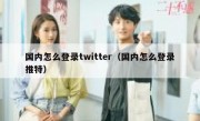 国内怎么登录twitter（国内怎么登录推特）