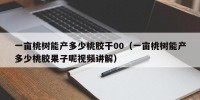 一亩桃树能产多少桃胶干00（一亩桃树能产多少桃胶果子呢视频讲解）