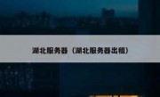湖北服务器（湖北服务器出租）