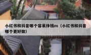 小红书和抖音哪个容易挣钱m（小红书和抖音哪个更好做）