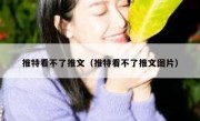 推特看不了推文（推特看不了推文图片）