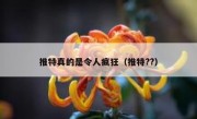 推特真的是令人疯狂（推特??）