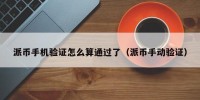 派币手机验证怎么算通过了（派币手动验证）