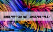 违反尾号限行怎么处罚（违反尾号限行规定）