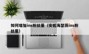 如何增加ins粉丝量（安妮海瑟薇ins粉丝量）