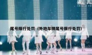 尾号限行处罚（外地车牌尾号限行处罚）