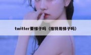 twitter要梯子吗（推特用梯子吗）