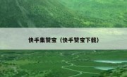 快手集赞宝（快手赞宝下载）
