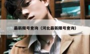 最新限号查询（河北最新限号查询）