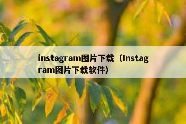 instagram软件的使用是免费的,但是instagram上的照片是不支持直接