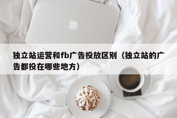 独立站运营和fb广告投放区别（独立站的广告都投在哪些地方） 第1张