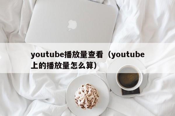 youtube播放量查看（youtube上的播放量怎么算） 第1张