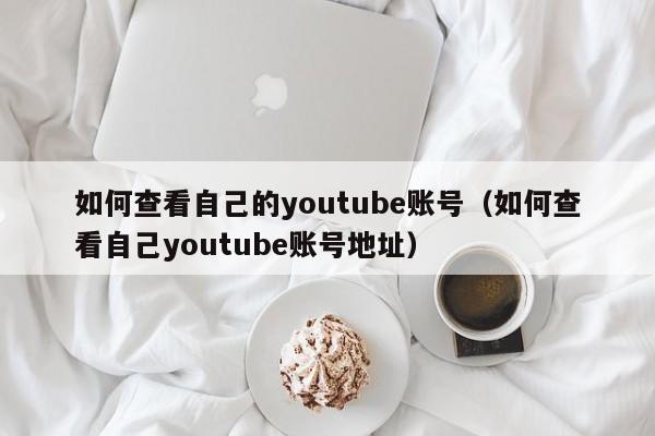 如何查看自己的youtube账号（如何查看自己youtube账号地址） 第1张