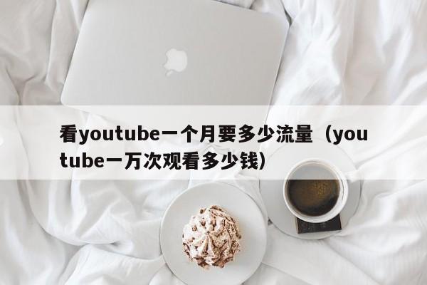 看youtube一个月要多少流量（youtube一万次观看多少钱） 第1张