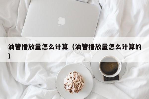 油管播放量怎么计算(油管播放量怎么计算的) 第1张 油管播放量怎么计算(油管播放量怎么计算的) 第1张