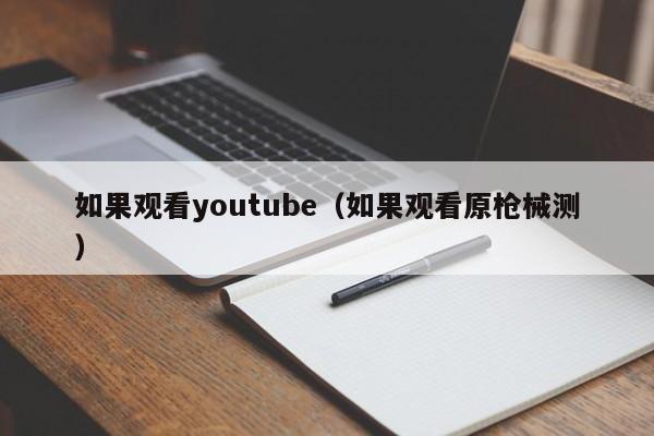 如果观看youtube（如果观看原枪械测） 第1张