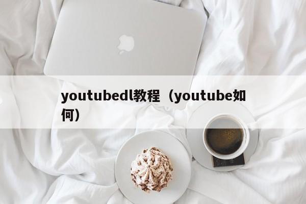 youtubedl教程（youtube如何） 第1张