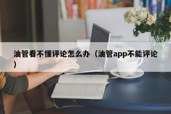 油管看不懂评论怎么办（油管app不能评论） 第1张