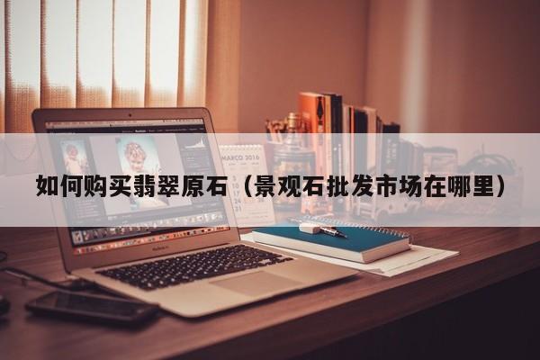 如何购买翡翠原石(景观石批发市场在哪里) 第1张 如何购买翡翠原石(景观石批发市场在哪里) 第1张