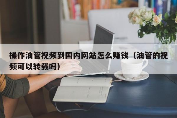 操作油管视频到国内网站怎么赚钱（油管的视频可以转载吗） 第1张